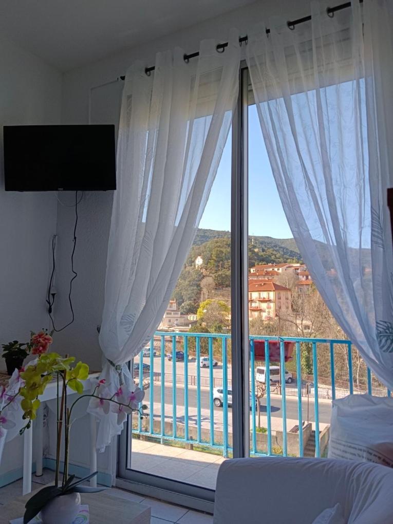 christiane cere Apartment Amélie-les-Bains-Palalda Exterior foto